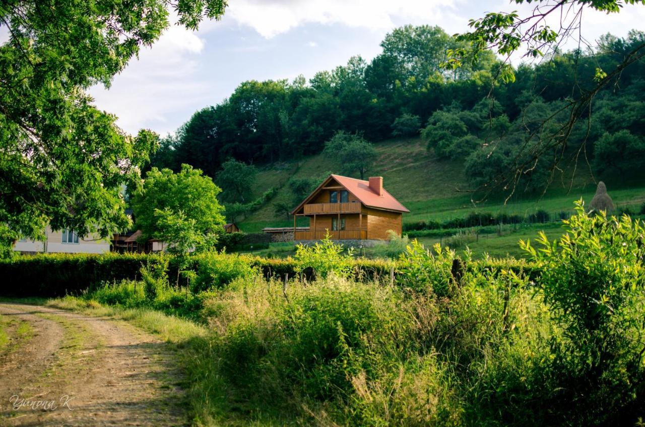 Sadiba Liskovec Villa Dubrinich na Beregu Buitenkant foto