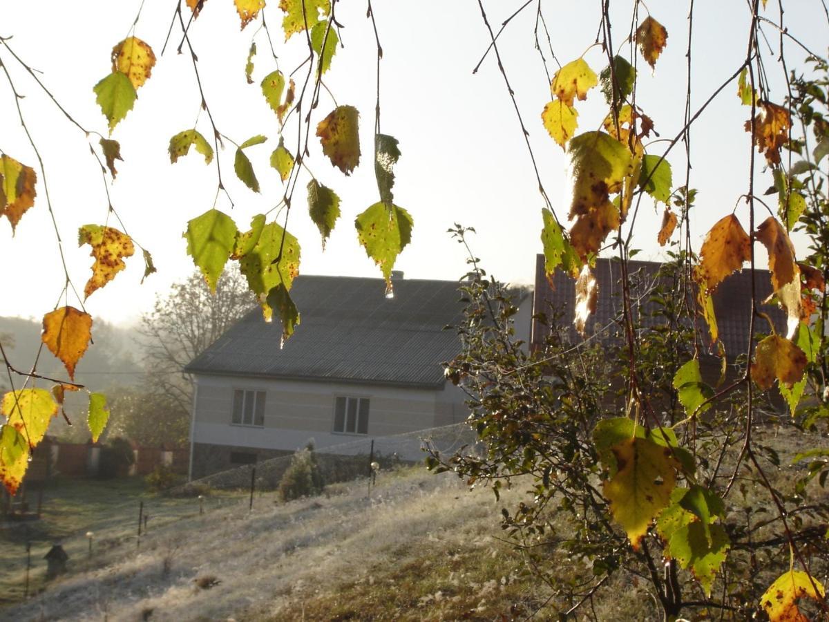 Sadiba Liskovec Villa Dubrinich na Beregu Buitenkant foto