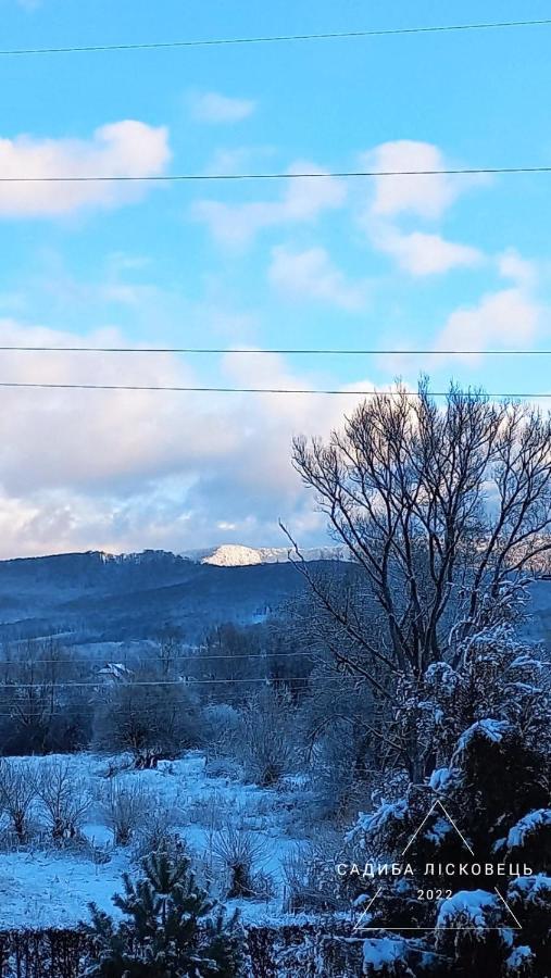 Sadiba Liskovec Villa Dubrinich na Beregu Buitenkant foto