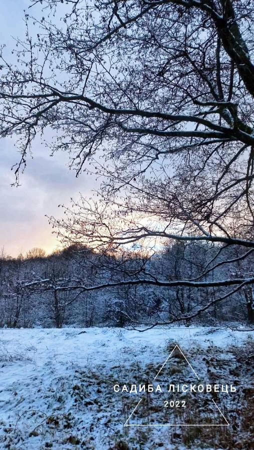 Sadiba Liskovec Villa Dubrinich na Beregu Buitenkant foto