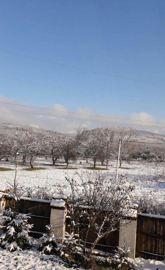 Sadiba Liskovec Villa Dubrinich na Beregu Buitenkant foto